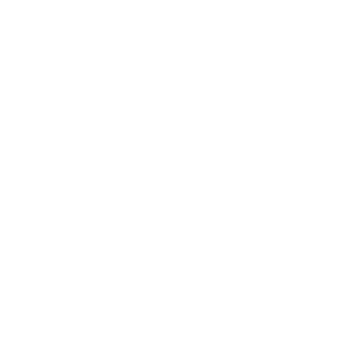logo-11